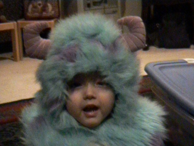 sulleycostume.jpg