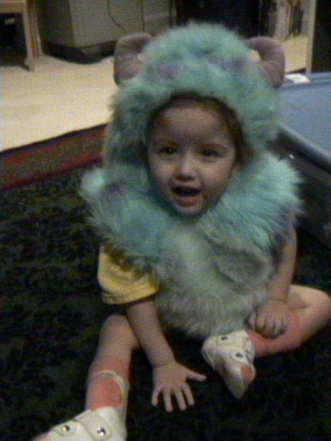 sully.jpeg